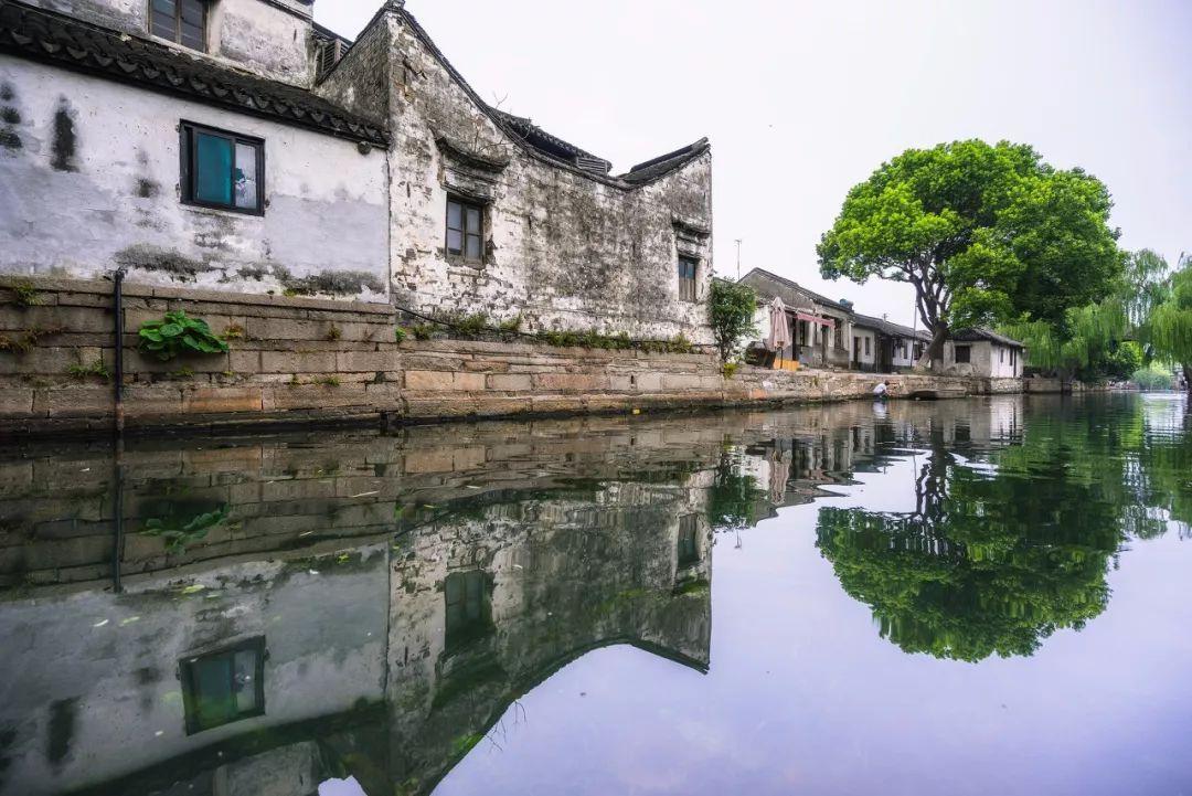 植物大战僵尸6